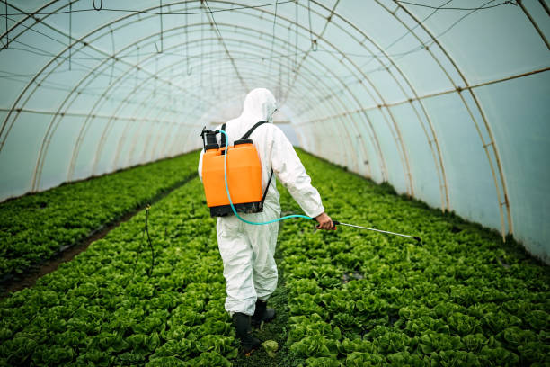 Best Pest Removal Services  in St Albans, WV