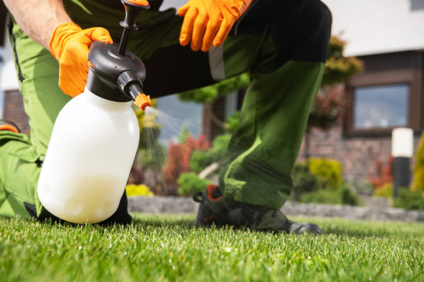 Best Emergency Pest Control  in St Albans, WV
