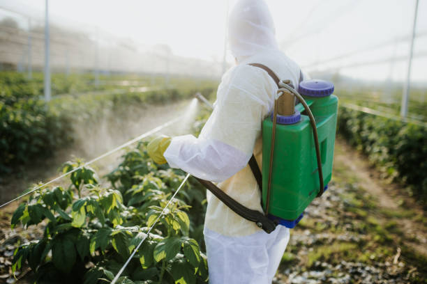 Best Local Pest Control Services  in St Albans, WV